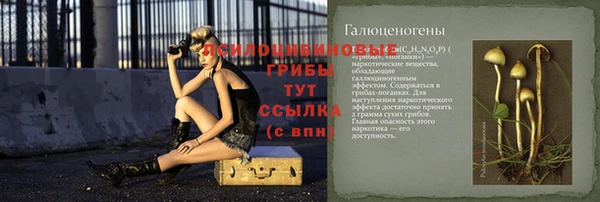 кокс Алексин