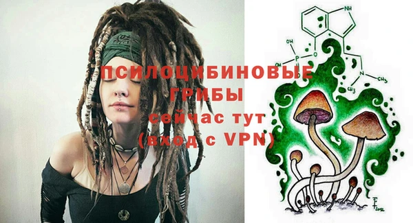 спайс Алзамай