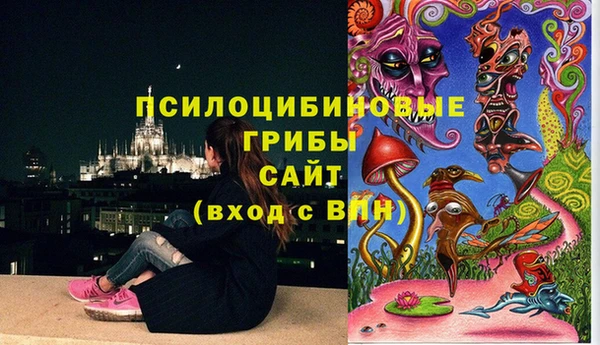 кокс Алексин